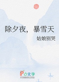 除夕夜,暴雪天